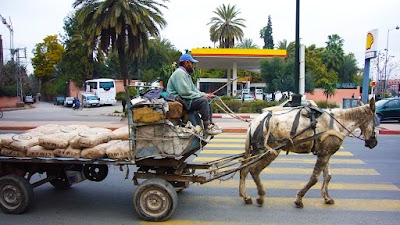 Photos of Top Morocco travel