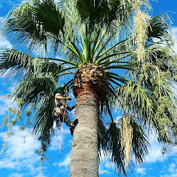 Photo n°7 de Khali Jardin à Saint-Cyr-sur-Mer (Paysagiste)