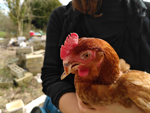 Photo n°12 de La Pondation de Félicie à Le Mesnil-Thomas (Organisation environnementale)