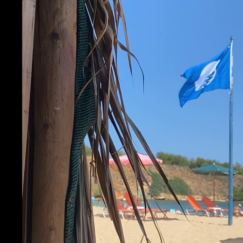 Comentarii opinii despre Yannis Beach Place