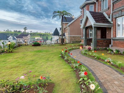 Photos of The Little England Cottages