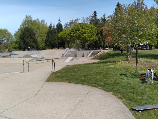 Willamalane Park - Visual