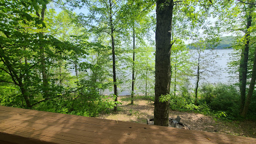 Soaring Eagle Cabin - Visual
