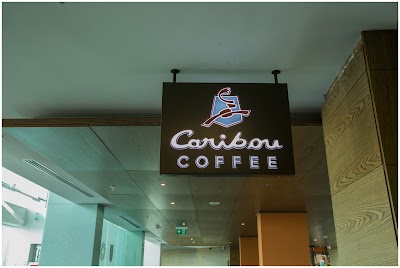 Caribou Coffee