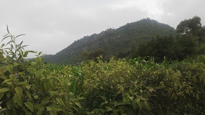 Photos of Lelin Campsite