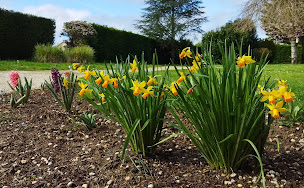 Photo n°24 de Le Fief Gobé à Villiers-en-Bois (Chambre d'hôtes)