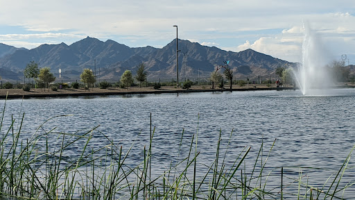 Festival Fields Park - Thumbnail