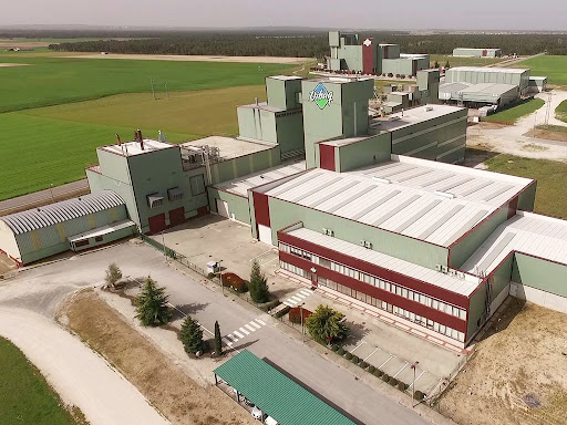 Dibaq Group - Visual