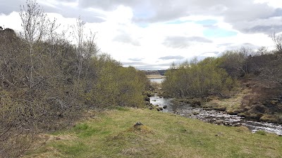 Photos of Parad&iacute;sarlaut