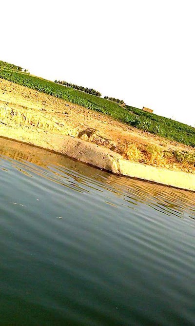 Photos of ناحيه العباسي