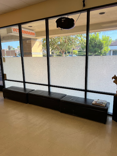 Arc Animal Hospital - Thumbnail