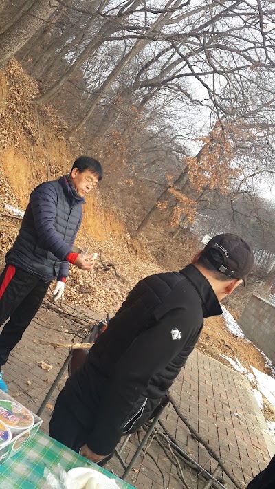 Photos of 통일공원