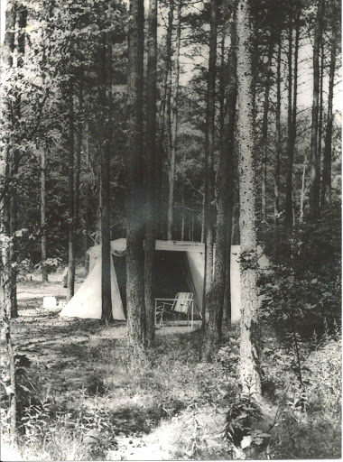 Camping Zwaluwenhof - Thumbnail