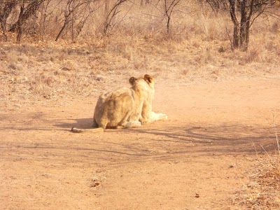 Photos of Ukutula Lodge & Conservation Center
