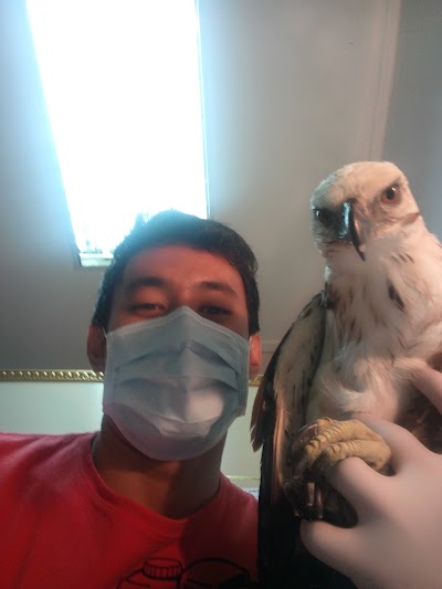 Photos of Elnemr veterinary clinic