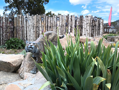 Jambo Bobcat Bite by null
