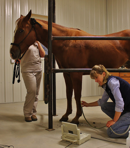 Alpena Veterinary Clinic - Thumbnail