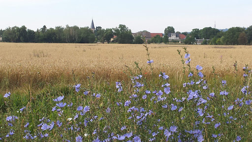 Kösseln, Ernst-Thälmann-Str. - Thumbnail