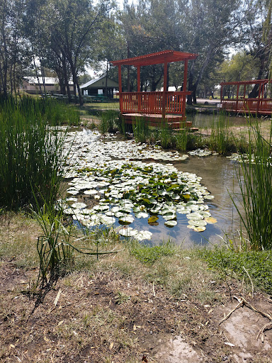 Indian Springs Resort & RV