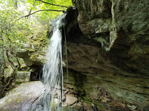Zahnd Wildlife Management Area