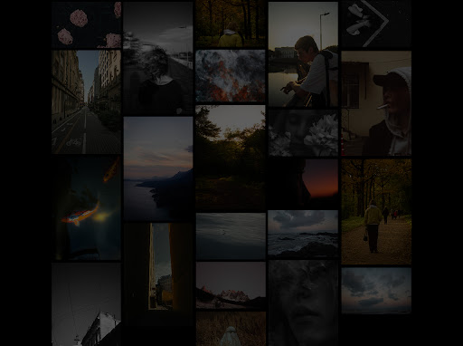 Proshotslipa Tamarindo