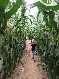 Photo n°21 de Labyrinthe de Samatan à Samatan (Parc de loisirs)