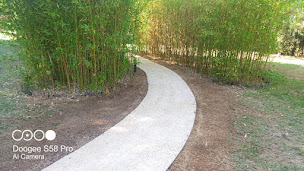 Photo n°18 de SERPE - Agence de Valence à Le Pouzin (Service d'élagage)