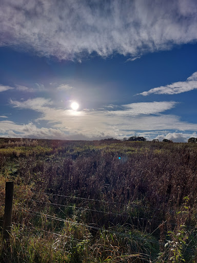 Cuerden Valley Park Back Lane Car Park - Thumbnail