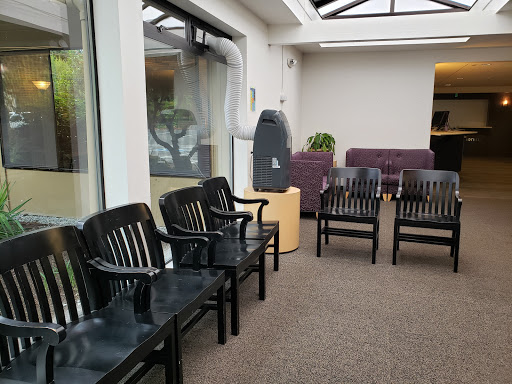 Husky Hall - Visual
