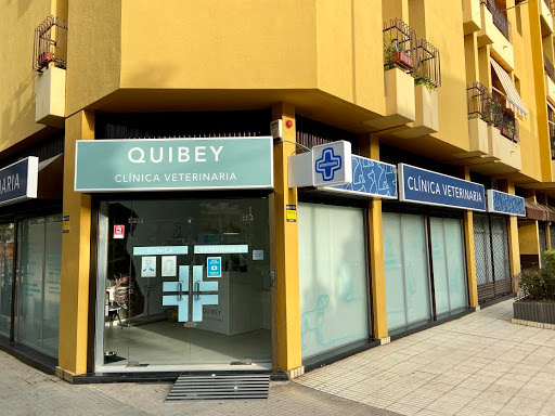 Quibey | Veterinario en Santa Cruz de Tenerife