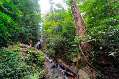 Photos of Muang Hiem School Forest Hiking Trail and View Point