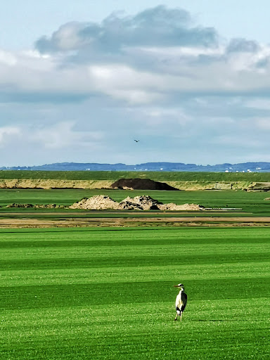 Carrowclare enbankment Gallery - United Kingdom