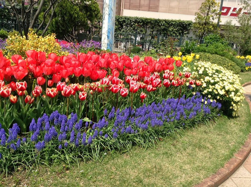 マイン・シュロス