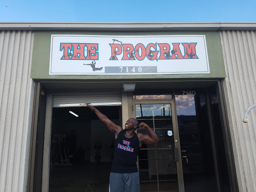 The Program - Visual