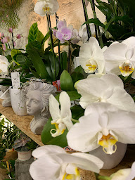 Photo n°59 de Greg - Artisan Fleuriste Toulouse à Toulouse (Magasin de plantes artificielles)