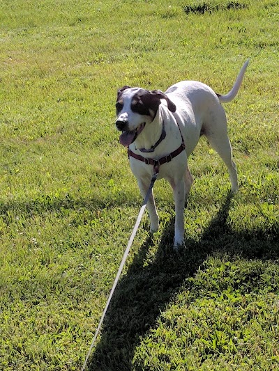 Oakwood Veterinary Clinic