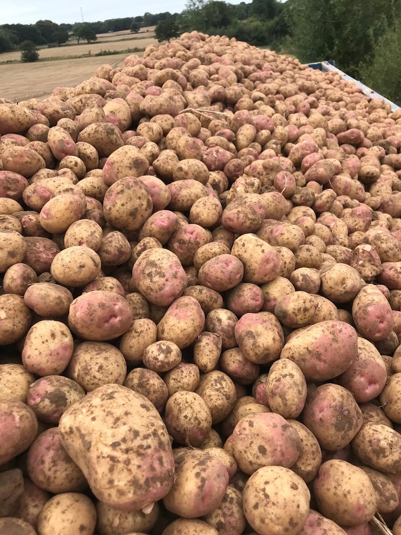 George Wright Farms photo 3