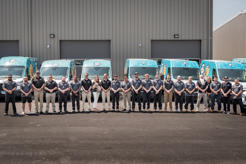 All Dry Services of Stamford photo