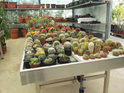 Photos of Golden Rose Flower Shop and Garden Centre