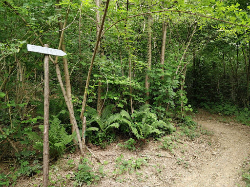 Fontanì - Visual
