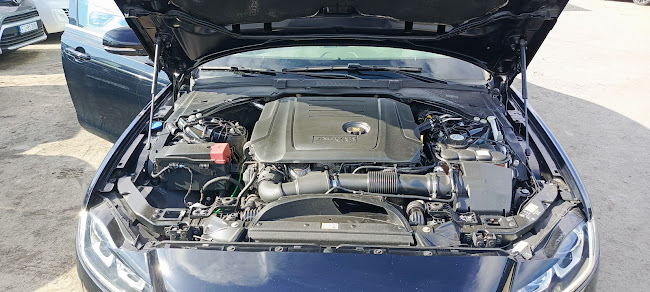 Opinie o AVAS nw - Auto Broker w Zielona Góra - Sprzedawca samochodów