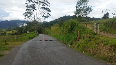 Photos of La Carbonera