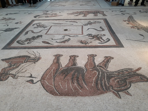Museo Città di Cannara - Thumbnail