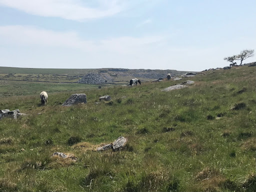 Merrivale Prehistoric Settlement - Thumbnail