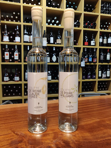 Comentarii opinii despre Canons Pantin