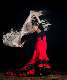 Photo n°4 de Office Socio-Culturel Cestas à Cestas (Association ou organisation)