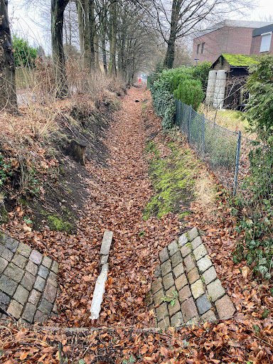 Quelle des Oldenfelder Grabens - Thumbnail