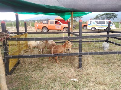 Photos of AGROSHOW PAJONALES