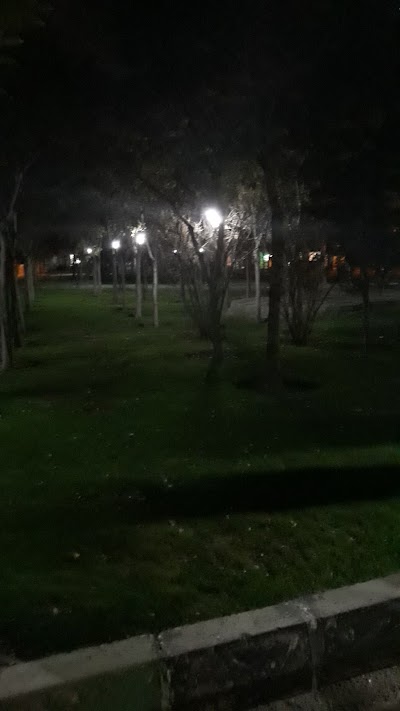 Photos of Lale Park