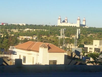 Photos of حديقة الوفاق